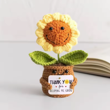 Emotional Support Plant